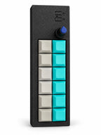 PicoPad 6x2 macro keyboard top view with 12 teal and grey keys and a volume knob